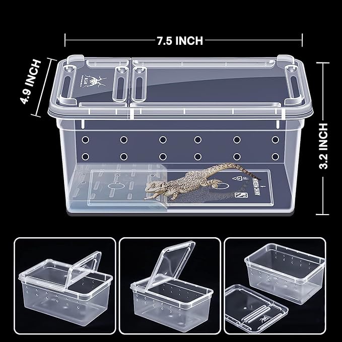 Critter Keeper Ant Farm Cane Toad Trap Little Live Pets Bug Catcher Kit for Kids Frog Habitat Turtle Tank Reptile Terrariums Lizard Cage Fish Bowl Beach Aquarium Catch and Release  2 PACK