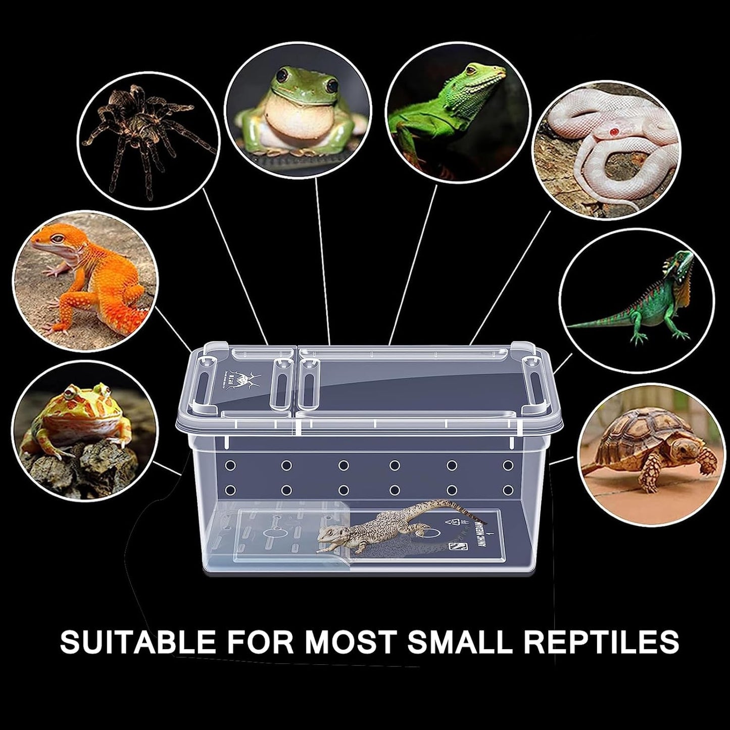 Critter Keeper Ant Farm Cane Toad Trap Little Live Pets Bug Catcher Kit for Kids Frog Habitat Turtle Tank Reptile Terrariums Lizard Cage Fish Bowl Beach Aquarium Catch and Release  2 PACK